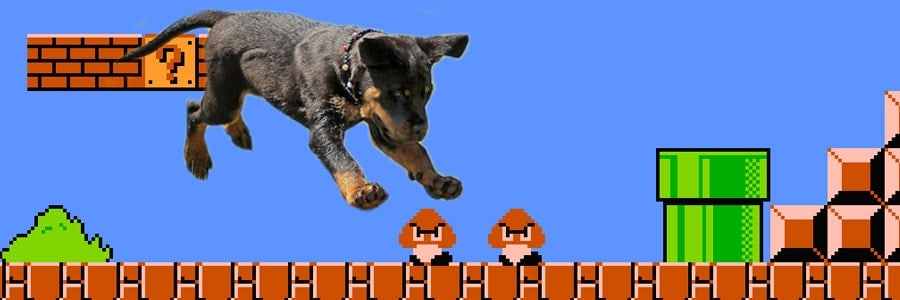 perro de videojuego