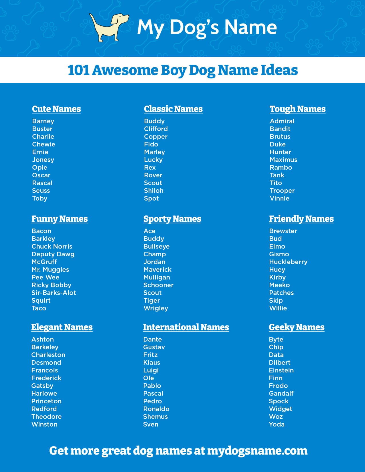 Infografía de nombres de perros para niños