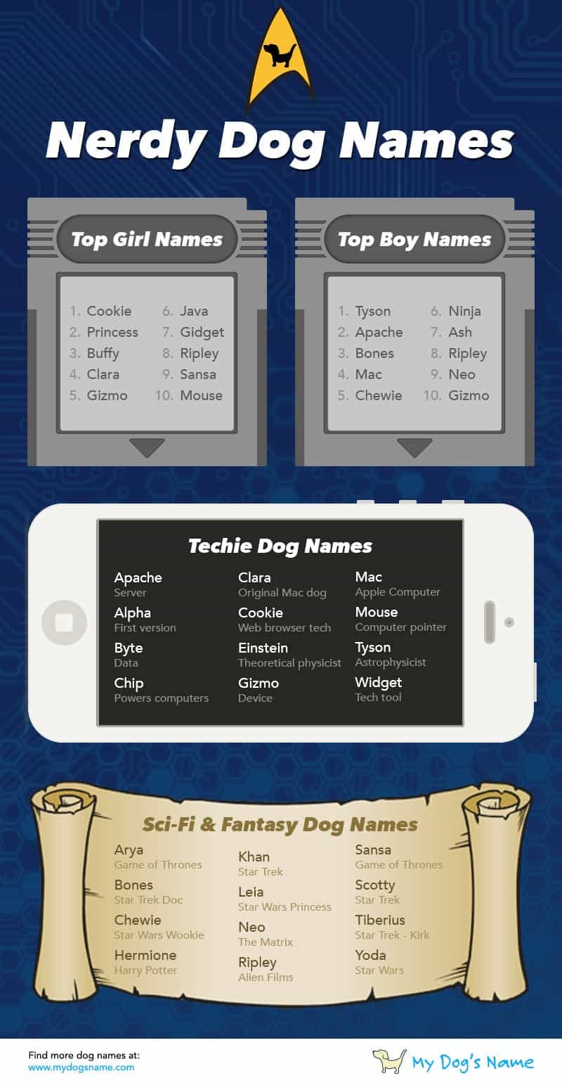 Infografía de nombres de perros nerd