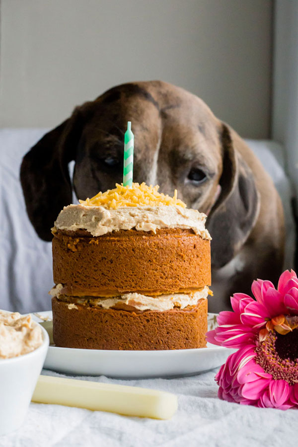 healthy dog cake