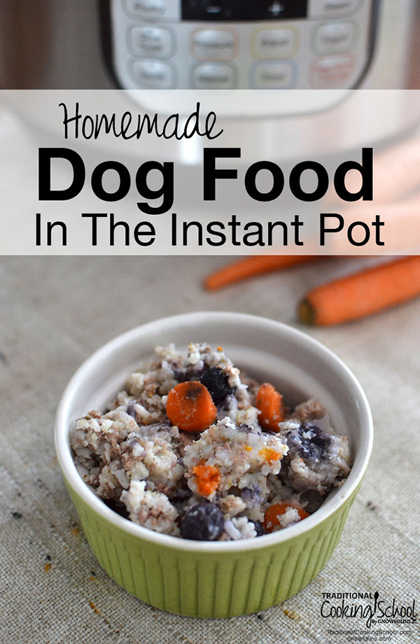 10 Homemade Dog Food Recipes Every Dog Parent Should Know - My Dog's Name