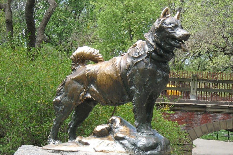 famous dog names - balto