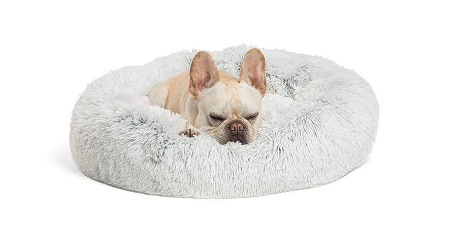 dog bed with rubber bottom