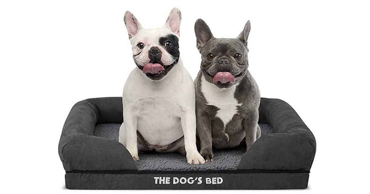 dog beds for destructive dogs