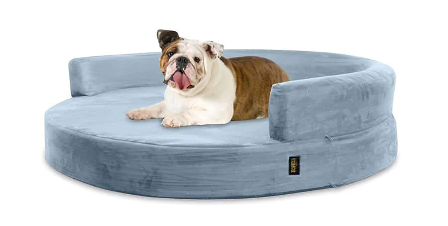 cute boy dog beds