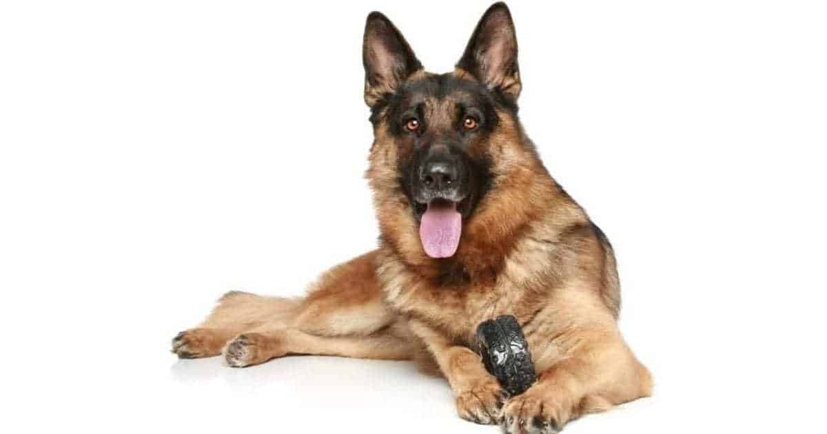 best toys for a german shepherd