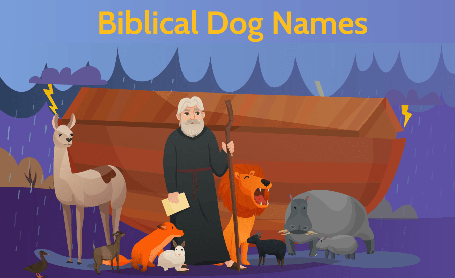 biblical dog names - noah's ark illustration